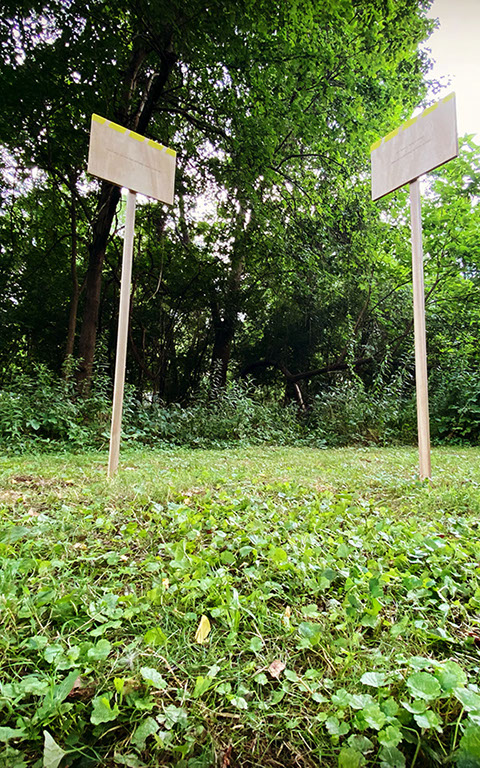 Caterina Verde - The Flying Wallendas as replicators of human behavior