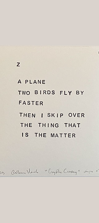 Caterina Verde - The Flying Wallendas as replicators of human behavior