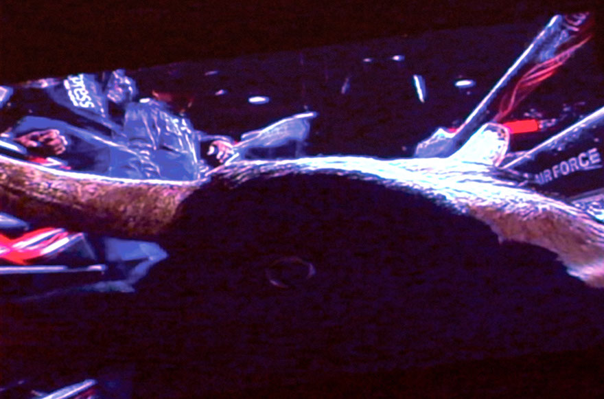 Scene from Caterina Verde's video, "All You Can't Eat and Other Tales of Waiting".&nbsp;&nbsp; Bull Waiting