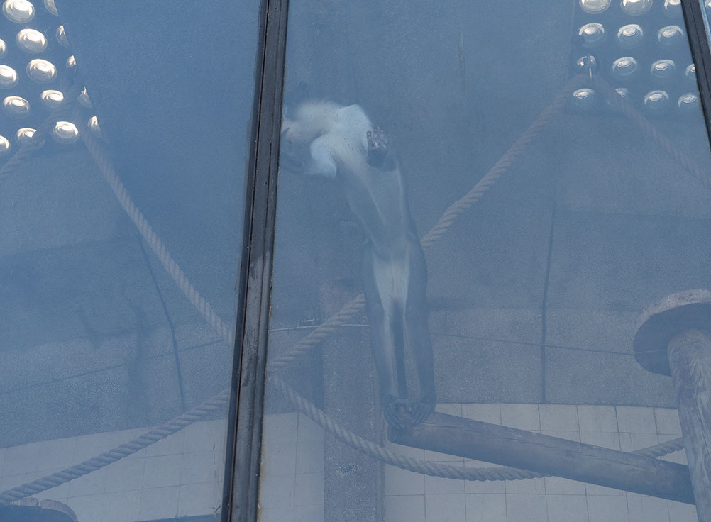 Caterina Verde - It's Not What you Think