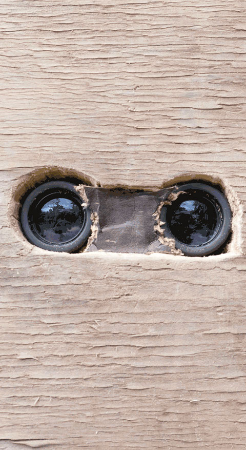 detail of installation:&nbsp; the misfortunes of virtue at the heart of the fertile delta in the land of hyper-reality