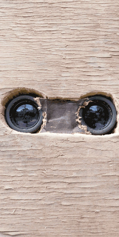 detail of installation:&nbsp; the misfortunes of virtue at the heart of the fertile delta in the land of hyper-reality