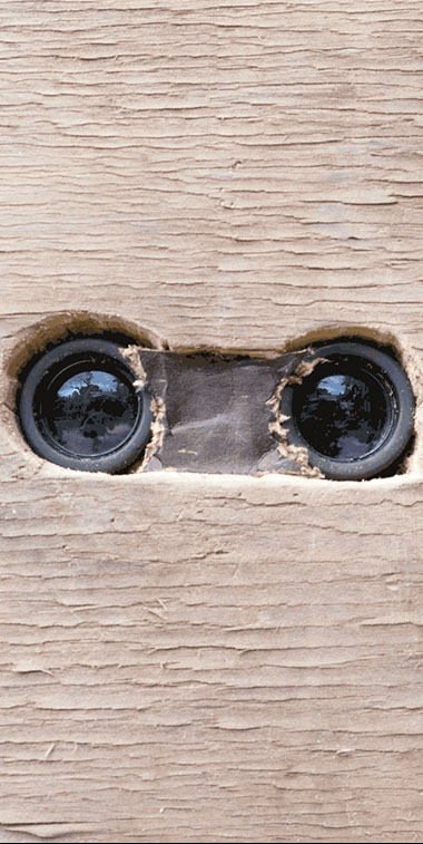 detail of installation:&nbsp; the misfortunes of virtue at the heart of the fertile delta in the land of hyper-reality