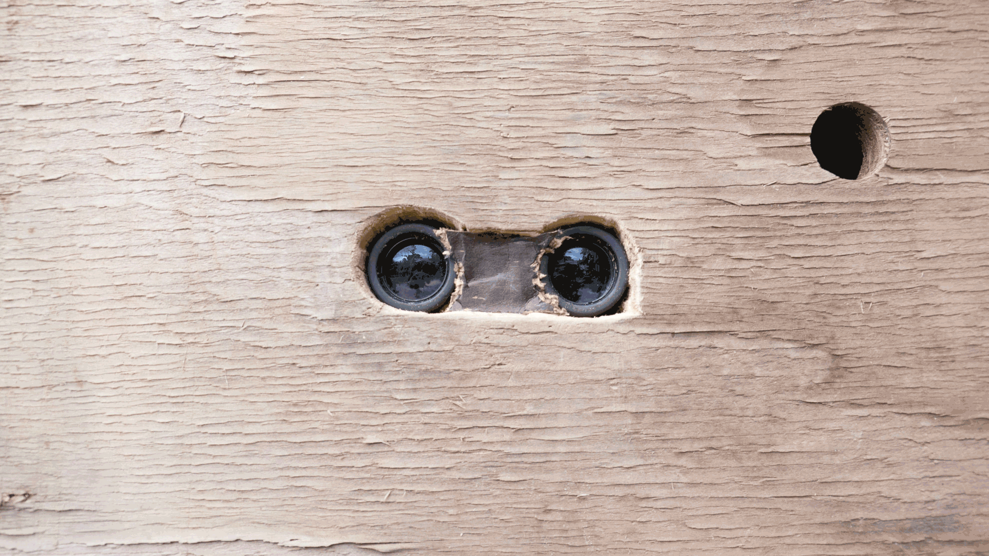 detail of installation:&nbsp; the misfortunes of virtue at the heart of the fertile delta in the land of hyper-reality - Caterina Verde