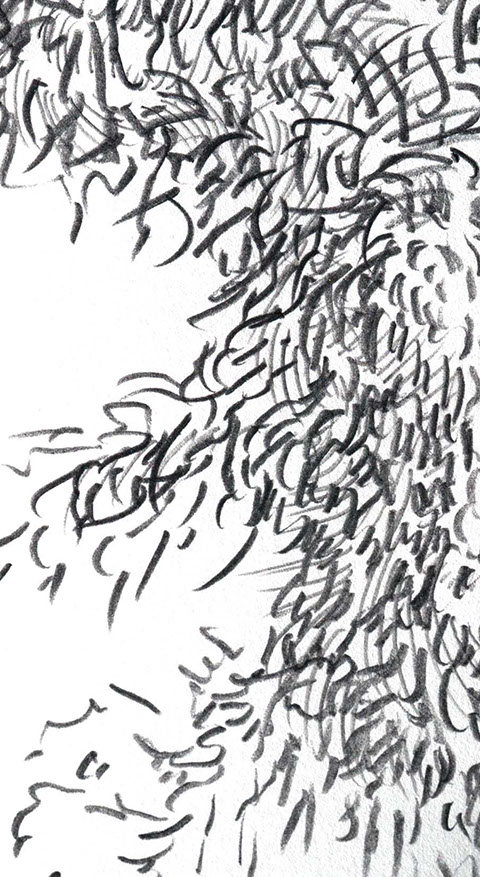 Caterina Verde - Prehistoric Runner, drawing.