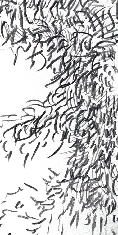 Caterina Verde - Prehistoric Runner, drawing.