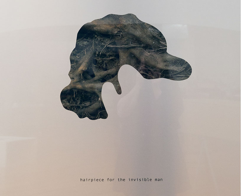 Caterina Verde, Hairpiece for the Invisible Man, photograph on metal